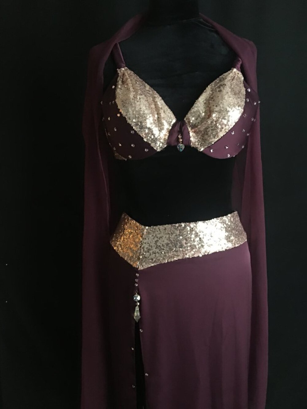 Halloween Belly Dance Costume - image 3